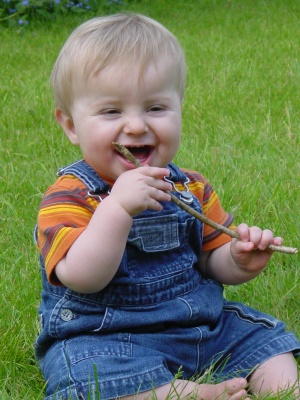 Robert chews more