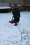 IMG_4328p