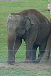 IMG_4796p