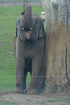 IMG_4798p