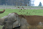 IMG_4801p