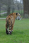 IMG_4820p