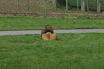 IMG_4841p