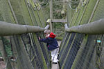 IMG_4925p