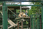 IMG_5729p