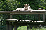 IMG_5738p