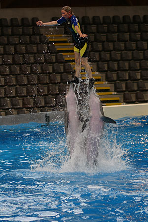 13_IMG_6929ps