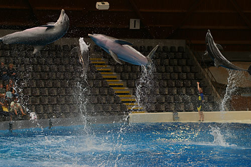 16_IMG_6936ps