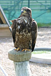 07_IMG_6814p