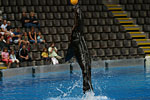 11_IMG_6864p