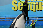 [Miami Seaquarium]