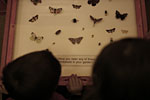 IMG_9703p