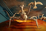 IMG_9704p