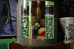 IMG_9740p
