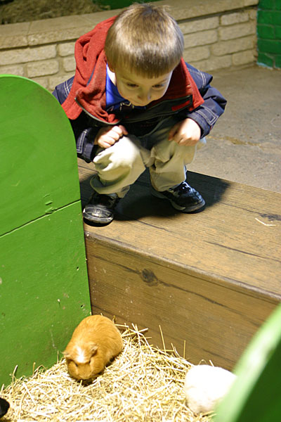 IMG_0274p