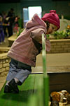IMG_0272p