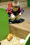 IMG_0274p