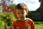 IMG_1652p
