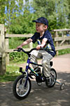 IMG_1906p