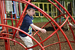 IMG_1913p