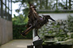 IMG_1341p