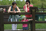 IMG_1370p