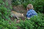 IMG_2530p