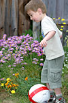 IMG_2696p