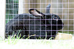 IMG_2701p
