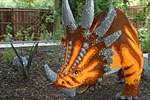 IMG_2806p