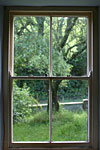 IMG_3183p