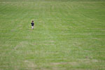IMG_3782p