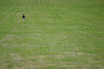 IMG_3783p