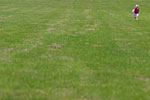 IMG_3784p