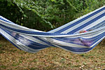 IMG_5336p