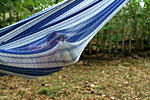 IMG_5340p