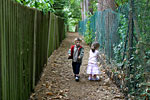 IMG_5379p