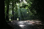 IMG_5808p