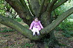 IMG_5820p