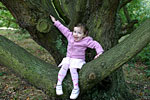 IMG_5824p