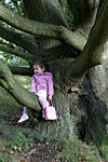 IMG_5829p