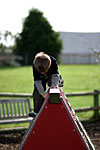 IMG_5642p
