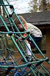 _MG_7031p