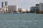 _MG_1116p