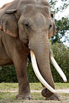 _MG_1277p