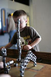 _MG_1576p