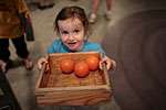 _MG_1629p