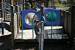 _MG_1681p