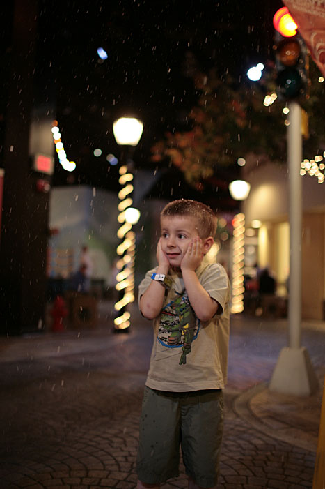 _MG_0733p