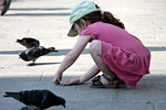 _MG_4254p